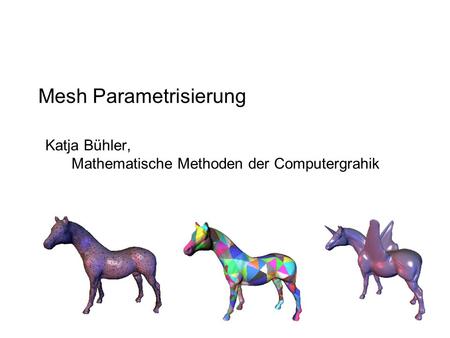 Mesh Parametrisierung