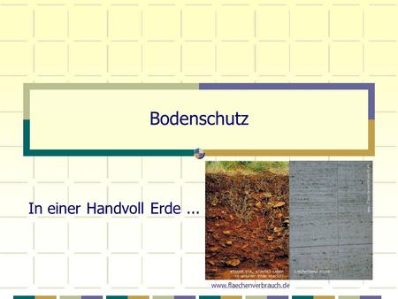 Bodenschutz In einer Handvoll Erde ... www.flaechenverbrauch.de.