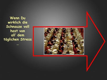 Wenn Du wirklich die Schnauze voll hast von all’ dem täglichen Stress …
