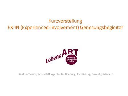Kurzvorstellung EX-IN (Experienced-Involvement) Genesungsbegleiter