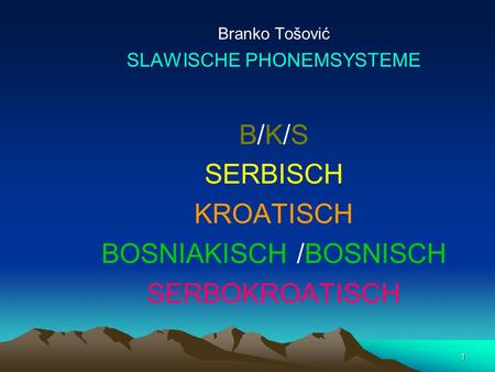 1 Branko Tošović SLAWISCHE PHONEMSYSTEME B/K/S SERBISCH KROATISCH BOSNIAKISCH /BOSNISCH SERBOKROATISCH.