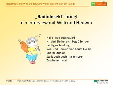„RadioInsekt“ bringt ein Interview mit Willi und Heuwin