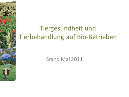 Tiergesundheit und Tierbehandlung auf Bio-Betrieben
