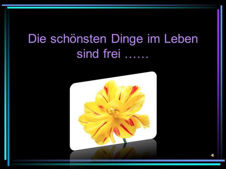 Die schönsten Dinge im Leben sind frei ……
