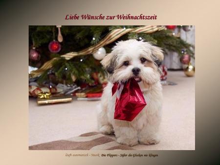 Liebe Wünsche zur Weihnachtszeit