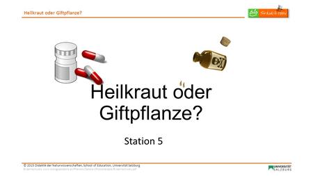 Heilkraut oder Giftpflanze? © 2015 Didaktik der Naturwissenschaften, School of Education, Universität Salzburg Bildernachweis: www.biologiedidaktik.at/Pflanzen/Dateien/Phytotherapie/Bildernachweis.pdf.