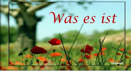Was es ist Automatik.
