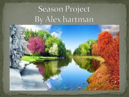 Season Project By Alex hartman