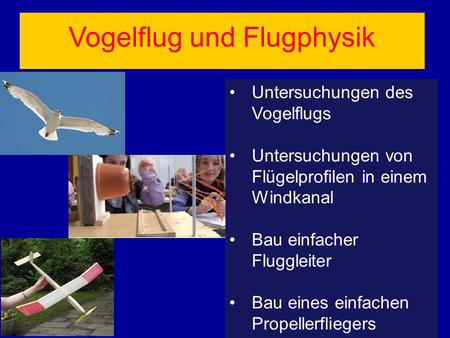 Vogelflug und Flugphysik