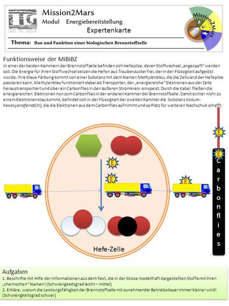 Expertenkarte Carbonflies E Hefe-Zelle Funktionsweise der MiBiBZ