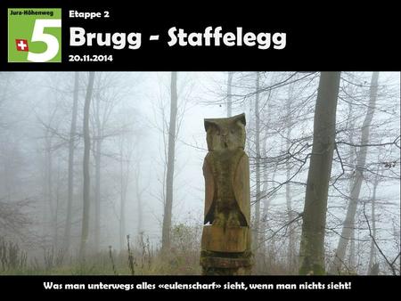 Etappe 2 Brugg - Staffelegg 20.11.2014 Was man unterwegs alles «eulenscharf» sieht, wenn man nichts sieht!