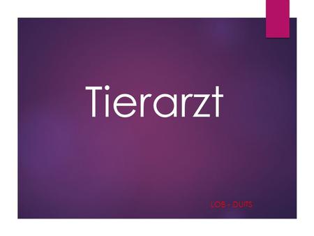 Tierarzt LOB - Duits.