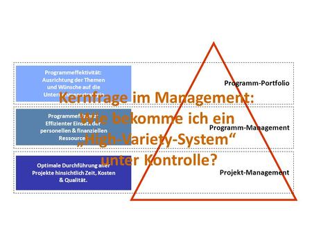 Programmeffektivität: Ausrichtung der Themen und Wünsche auf die Unternehmensstrategie Programm-Portfolio Programmeffizienz: Effizienter Einsatz der personellen.