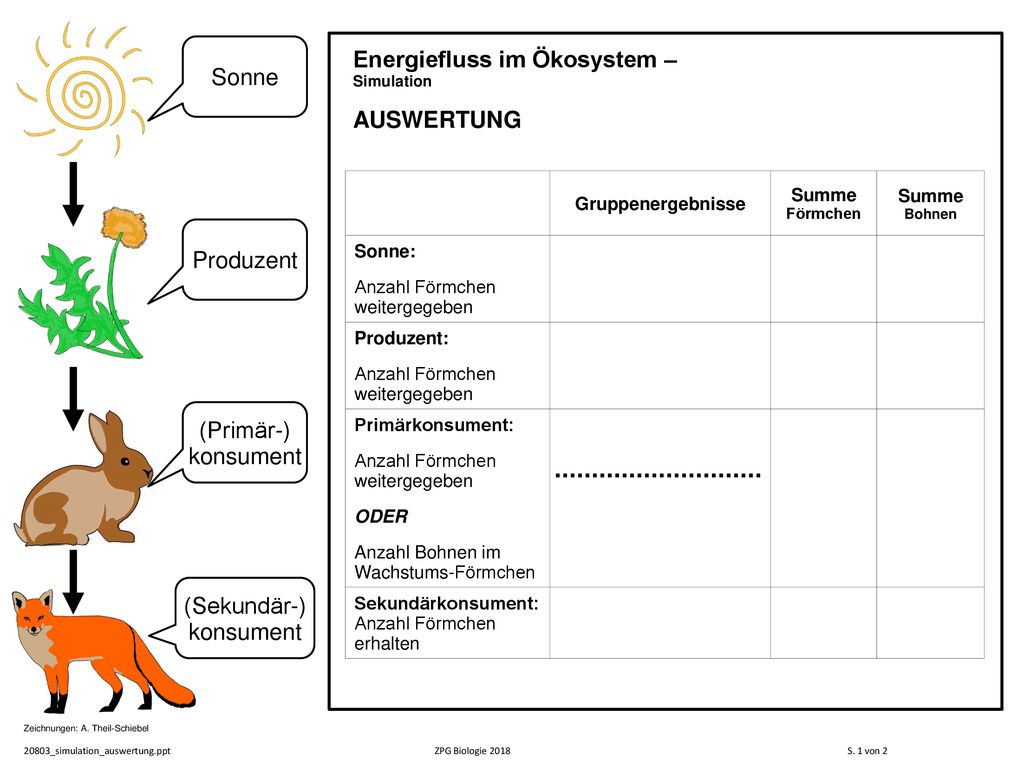 Energiefluss Im Okosystem Simulation Auswertung Ppt Herunterladen