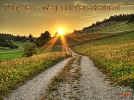 Früchte und/oder Gaben des Geistes –  worauf kommt es eigentlich an?