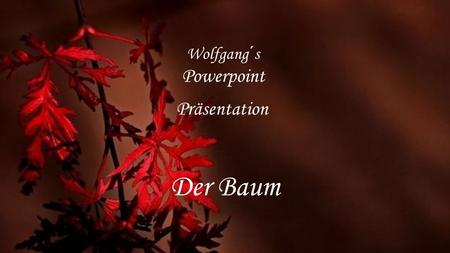 Wolfgang´s Powerpoint Präsentation Der Baum.