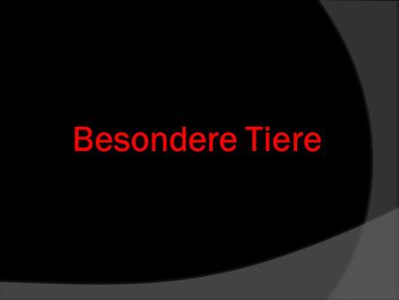 Besondere Tiere .