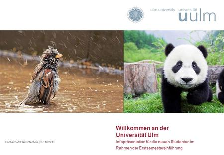 Inhalt Willkommen an der Universität Ulm Infopräsentation für die neuen Studenten im Rahmen der Erstsemestereinführung Fachschaft Elektrotechnik | 07.10.2013.
