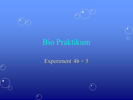 Bio Praktikum Experiment 4b + 5.