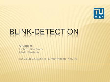 Blink-Detection Gruppe 9 Richard Kloibhofer Martin Riederer