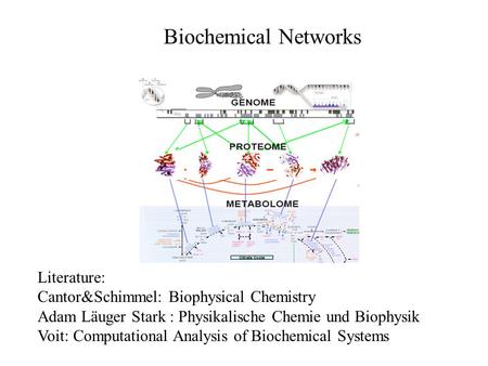 Biochemical Networks Literature: