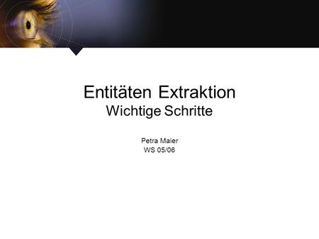 Entitäten Extraktion Wichtige Schritte Petra Maier WS 05/06.