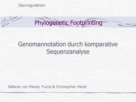 Phylogenetic Footprinting