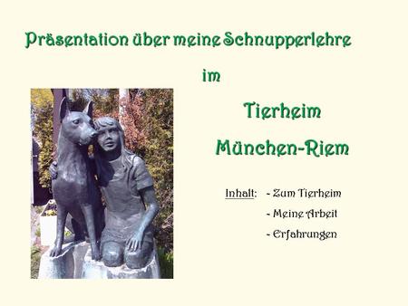 Tierheim München-Riem