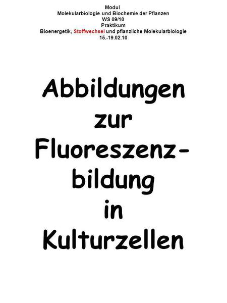 Modul Molekularbiologie und Biochemie der Pflanzen WS 09/10 Praktikum Bioenergetik, Stoffwechsel und pflanzliche Molekularbiologie 15.-19.02.10 Abbildungen.