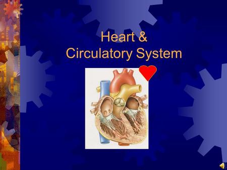 Heart & Circulatory System
