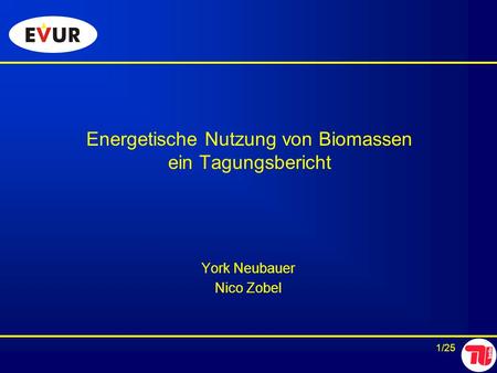 Energetische Nutzung von Biomassen ein Tagungsbericht