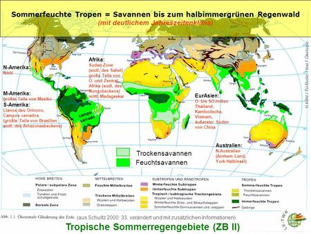 Tropische Sommerregengebiete (ZB II)