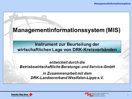 Managementinformationssystem (MIS)