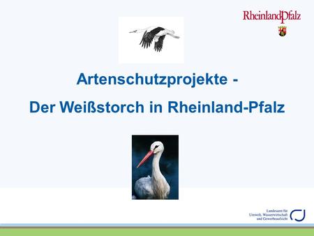 Artenschutzprojekte - Der Weißstorch in Rheinland-Pfalz