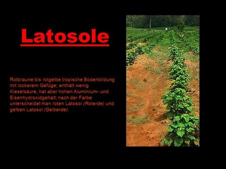 Latosole Rotbraune bis rotgelbe tropische Bodenbildung mit lockerem Gefüge; enthält wenig Kieselsäure, hat aber hohen Aluminium- und Eisenhydroxidgehalt;