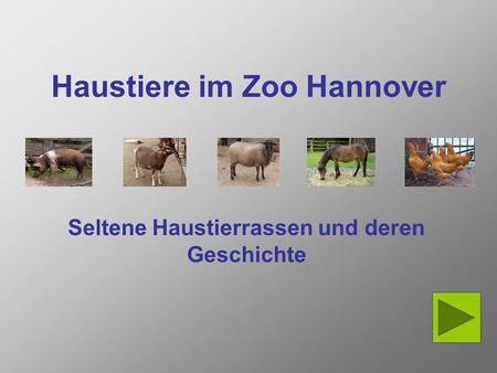 Haustiere im Zoo Hannover