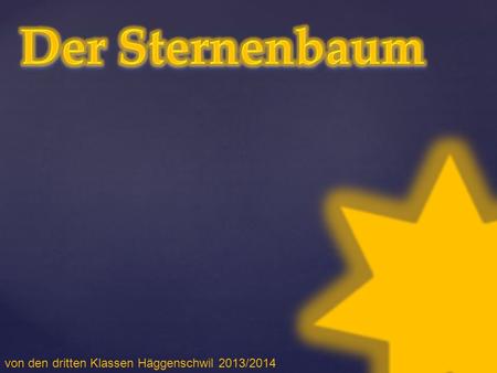 Der Sternenbaum von den dritten Klassen Häggenschwil 2013/2014.
