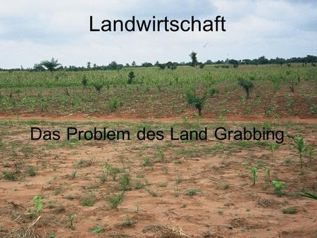 Das Problem des Land Grabbing