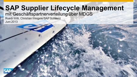 SAP Supplier Lifecycle Management