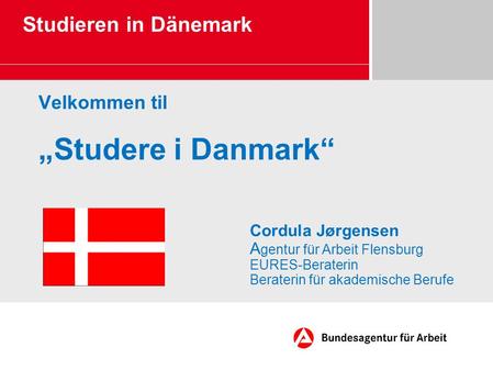 Velkommen til „Studere i Danmark“