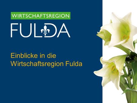 Einblicke in die  Wirtschaftsregion Fulda