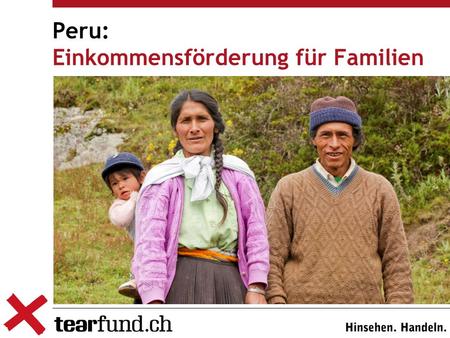 Peru: Einkommensförderung für Familien