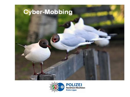 (auch Cyber-Bullying, E-Mobbing u. a.) Cybermobbing (auch Cyber-Bullying, E-Mobbing u. a.) Das absichtliche Beleidigen, Bedrohen, Bloßstellen oder.