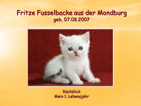 Fritze Fusselbacke aus der Mondburg geb. 07.08.2007 Rückblick Mein 1. Lebensjahr.