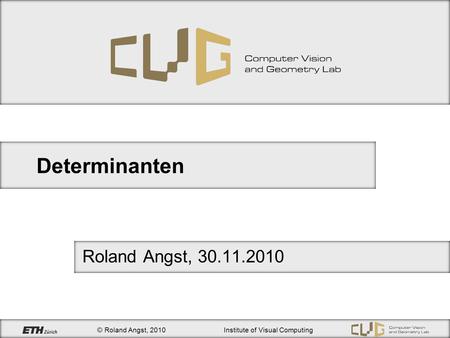 Determinanten Roland Angst, 30.11.2010.