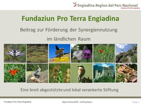 Alpen Woche 2012, Val Poschiavo Fundaziun Pro Terra Engiadina Beitrag zur Förderung der Synergiennutzung im ländlichen Raum Eine breit abgestützte und.