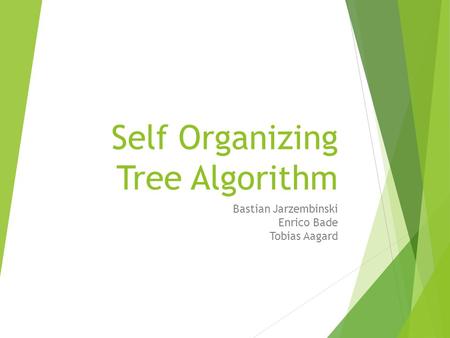 Self Organizing Tree Algorithm