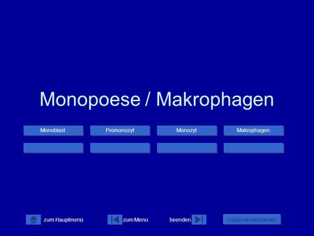 Monopoese / Makrophagen