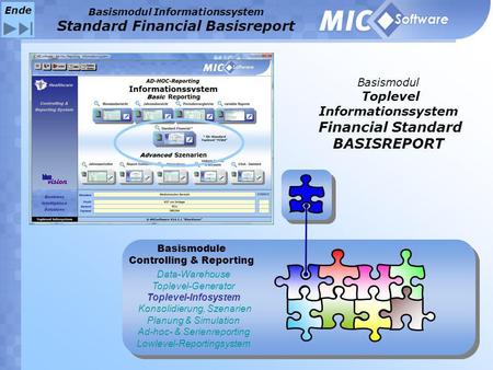 Basismodul Informationssystem Standard Financial Basisreport