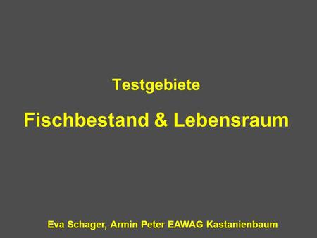 Fischbestand & Lebensraum Eva Schager, Armin Peter EAWAG Kastanienbaum